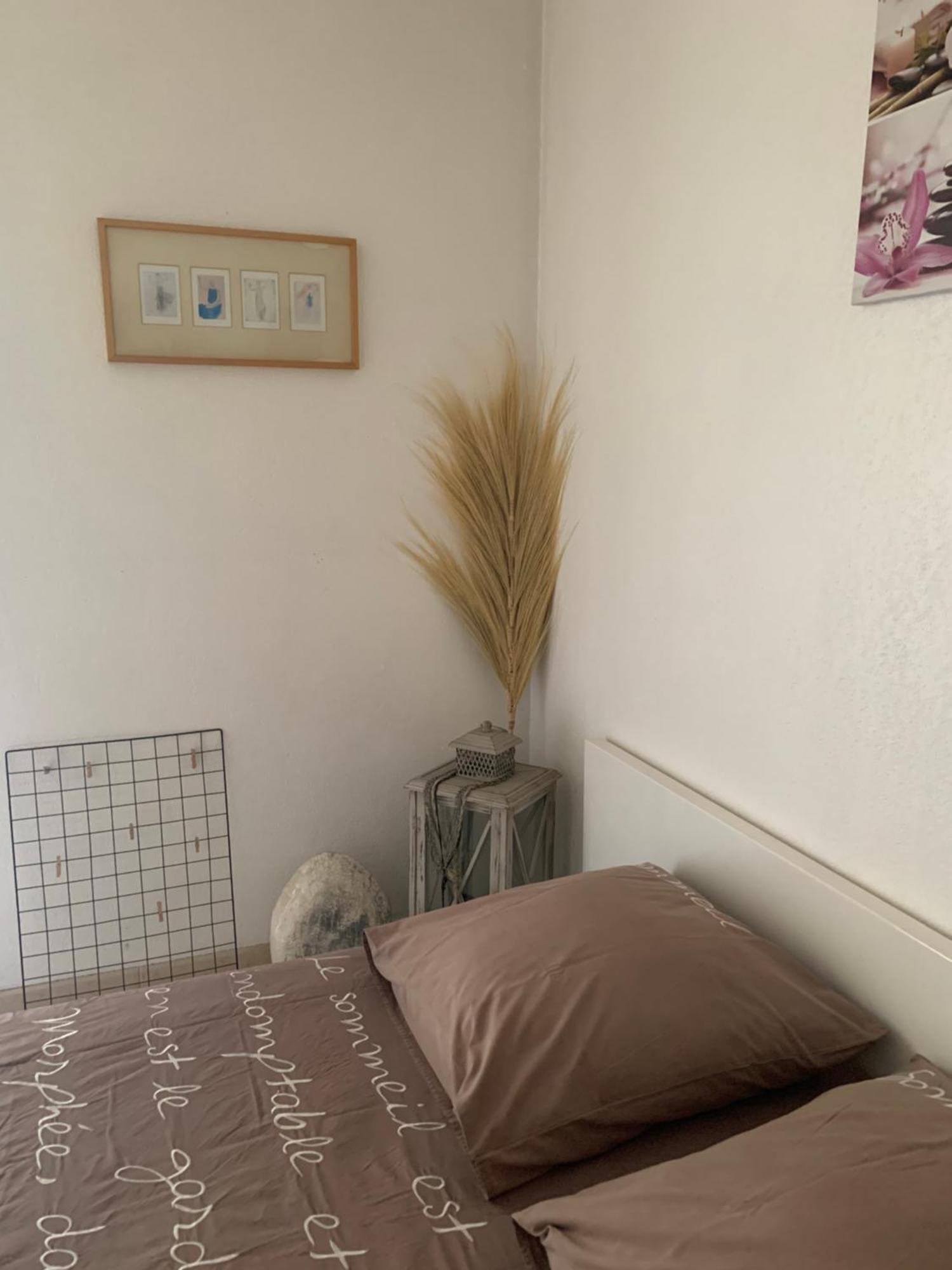 Apartament Votre Sejour Cosy A Frejus! Zewnętrze zdjęcie